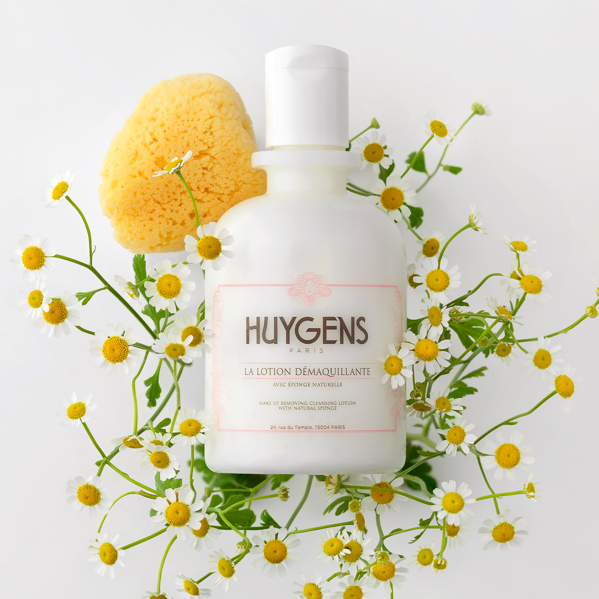 Flacon de la lotion démaquillante et son éponge naturelle, entourés de camomille