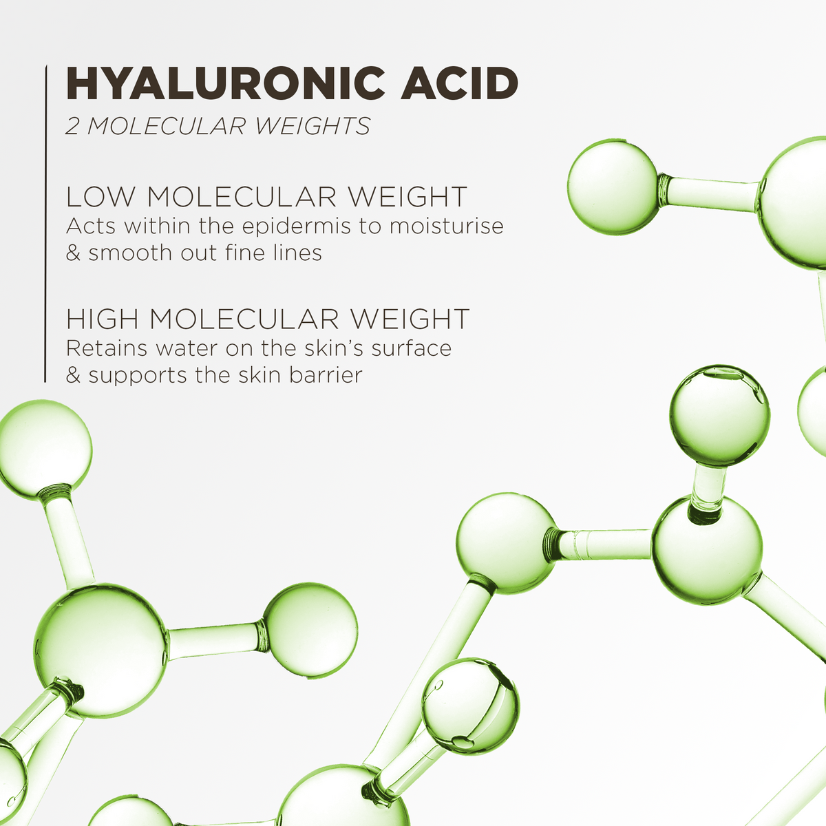 Hyaluronic acid in two molecular weights: low weight moisturises the epidermis, high weight retains water at the surface