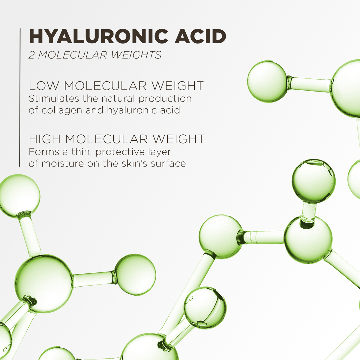 Hyaluronic acid in two molecular weights: low weight stimulates collagen and hyaluronic acid, high weight forms a protective layer of moisture