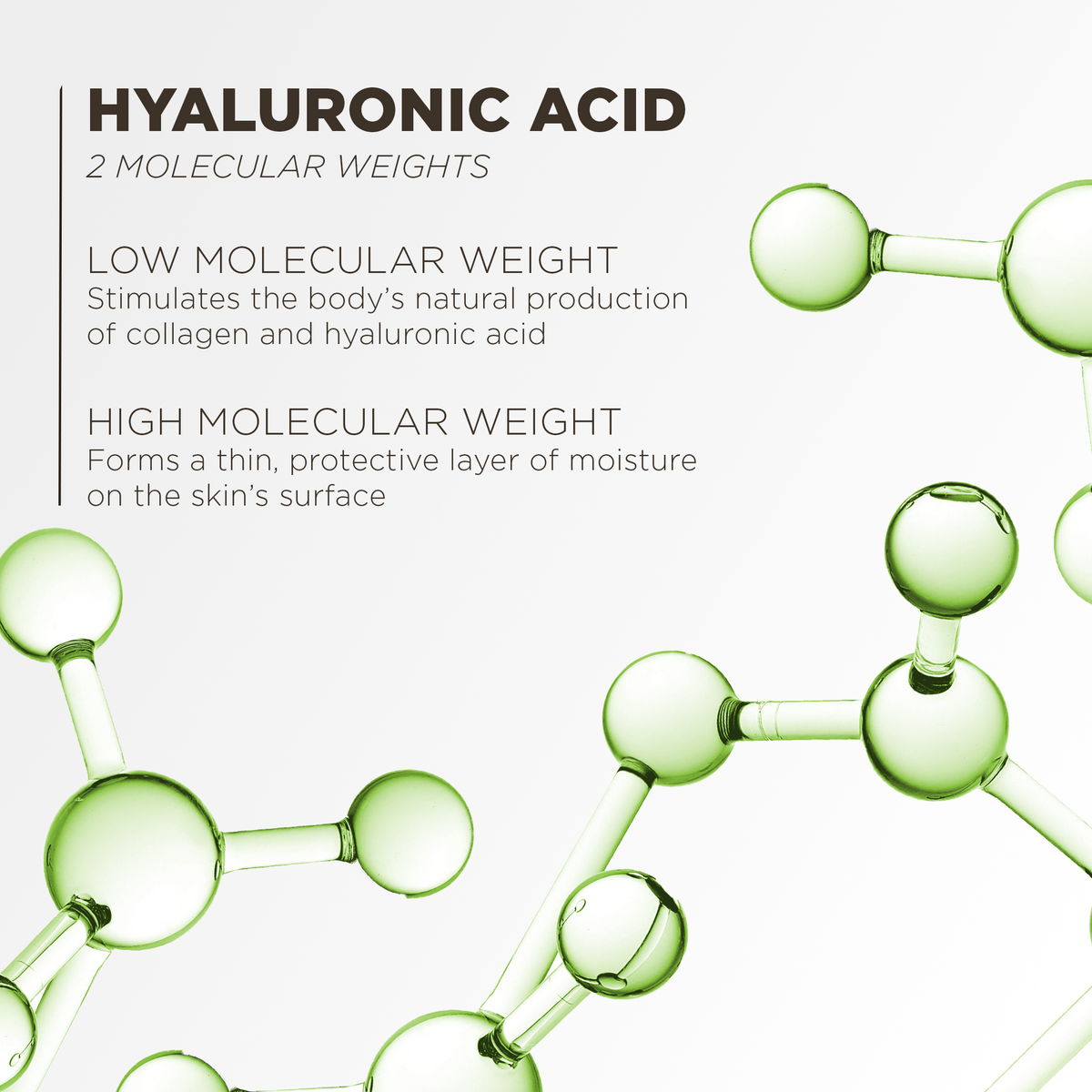 Hyaluronic acid in two molecular weights: low weight stimulates collagen and hyaluronic acid, high weight forms a protective layer of moisture