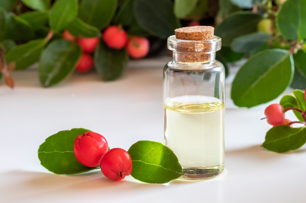 LE BHA VEGETAL : L’ACIDE SALICYLIQUE DE LA GAULTHÉRIE