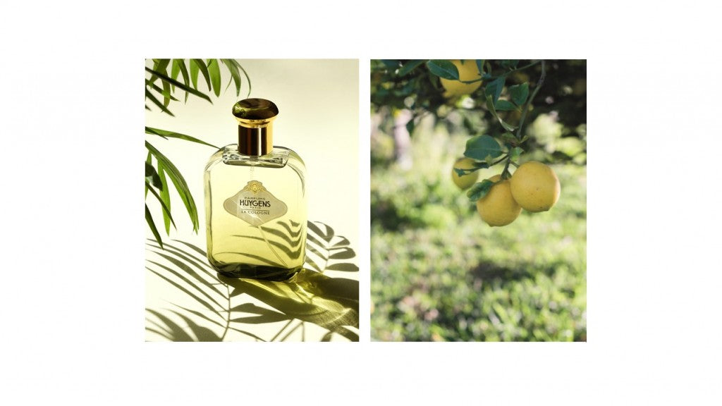 Découvrez les Colognes Intenses Huygens