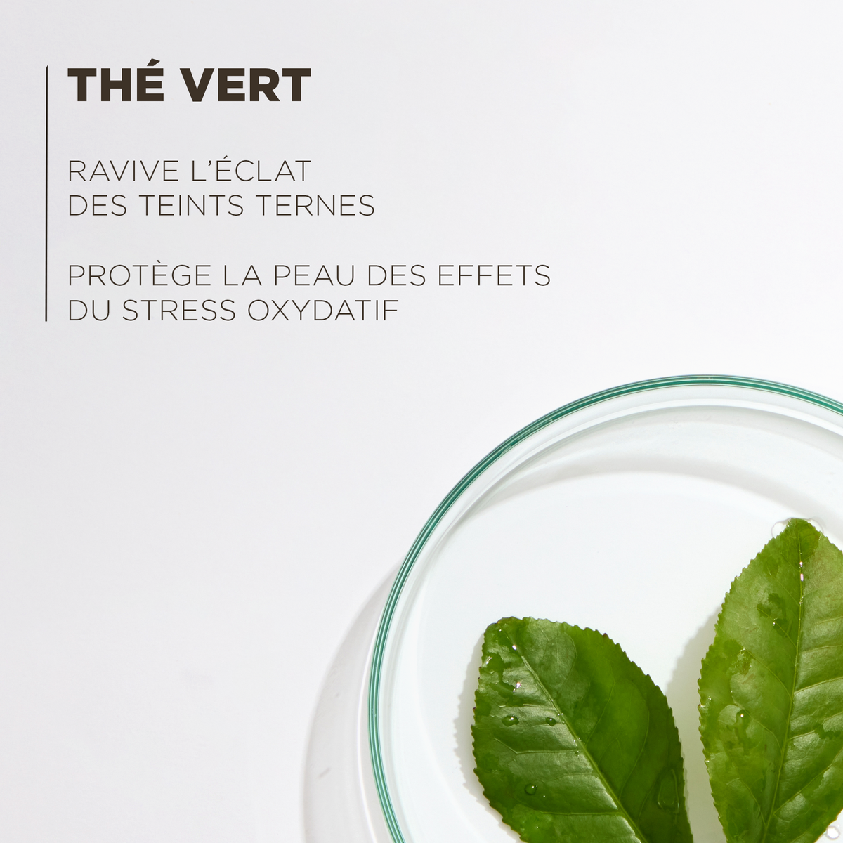 Le Gommage Visage