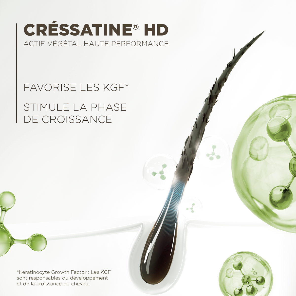 Le Booster Soin Cils Noir