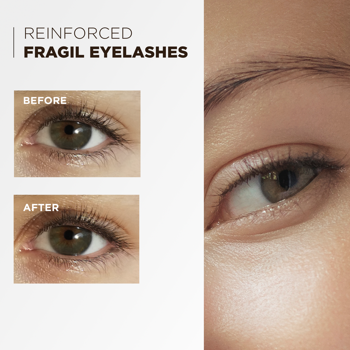 Before and after: fragile lashes strengthened, clinical study over 30 days