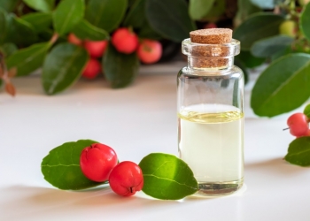 LE BHA VEGETAL : L’ACIDE SALICYLIQUE DE LA GAULTHÉRIE 