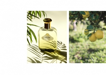 Découvrez les Colognes Intenses Huygens